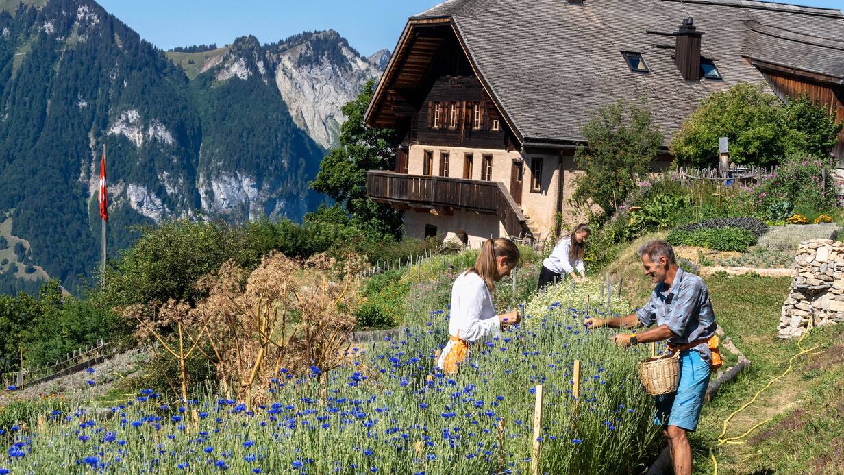 Le jardin de Rossinière (VD)