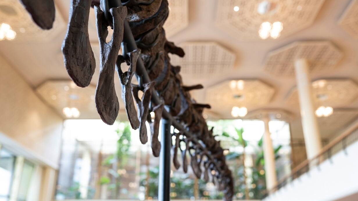 T-Rex Trinity