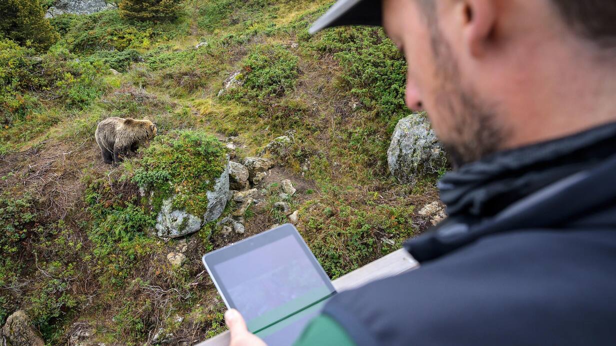 Digi-Tal Arosa Lenzerheide