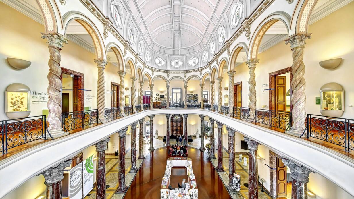 MUSEE ARIANA GENEVE