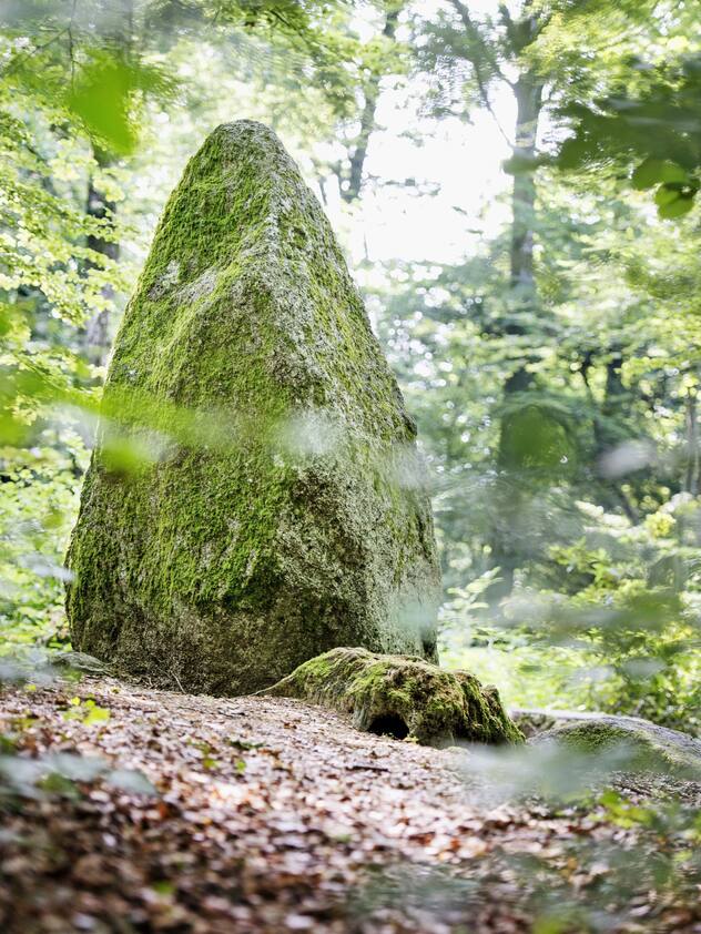 Le grand menhir de la forêt du Devens.
