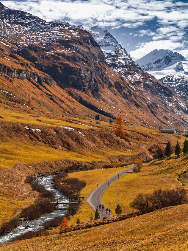 Grisons