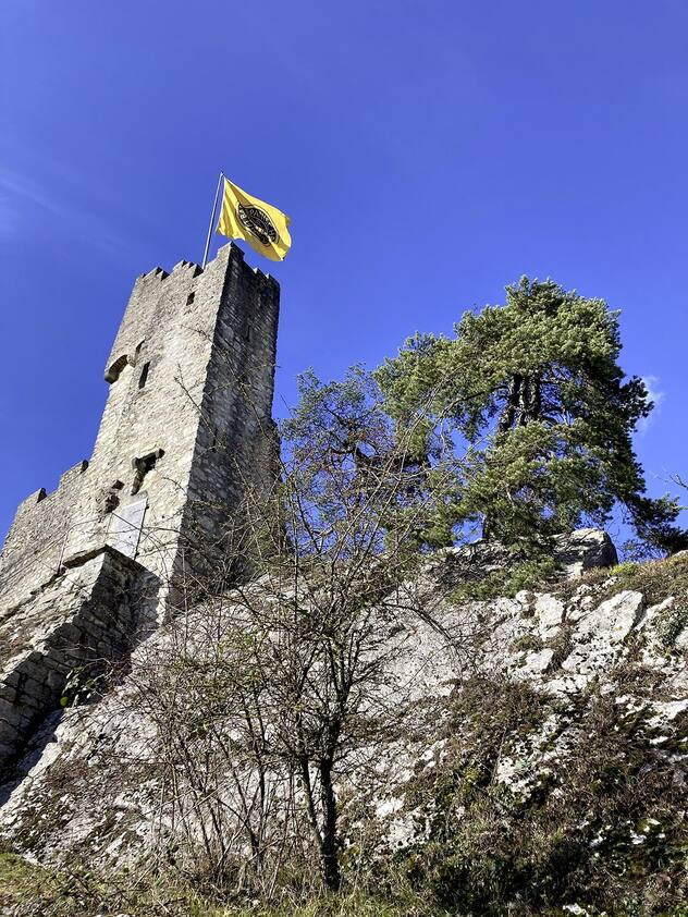 Les ruines du château de Stein à Baden