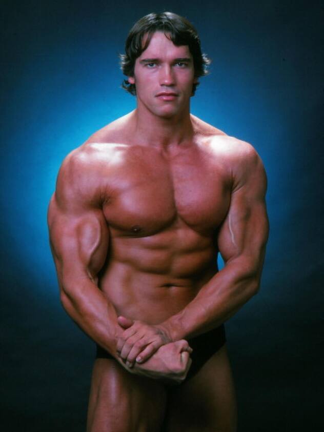 VIP ARNOLD SCHWARZENEGGER