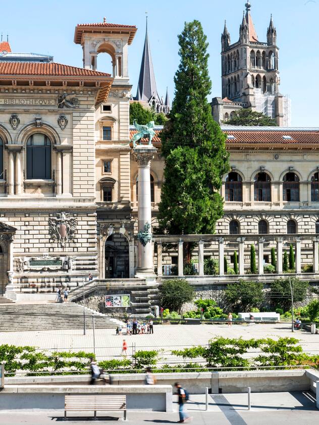 Un cèdre à encens veille sur le palais de Rumine à Lausanne