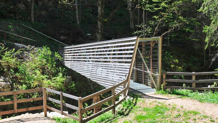 La passerelle Anabaptiste du parc régional du Chasseral