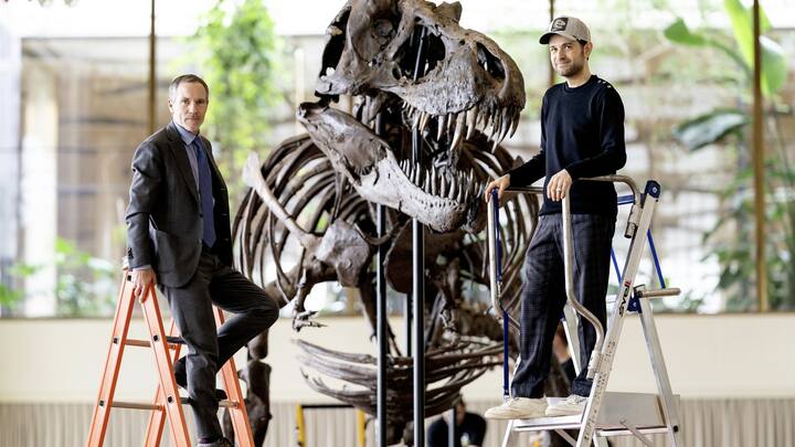 T-Rex