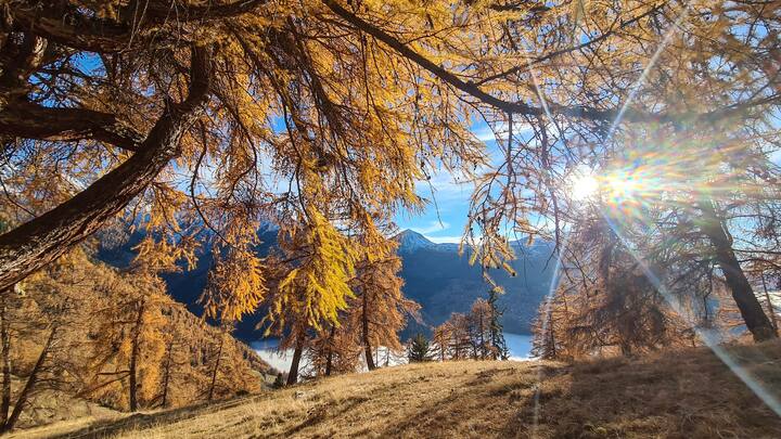 Valais