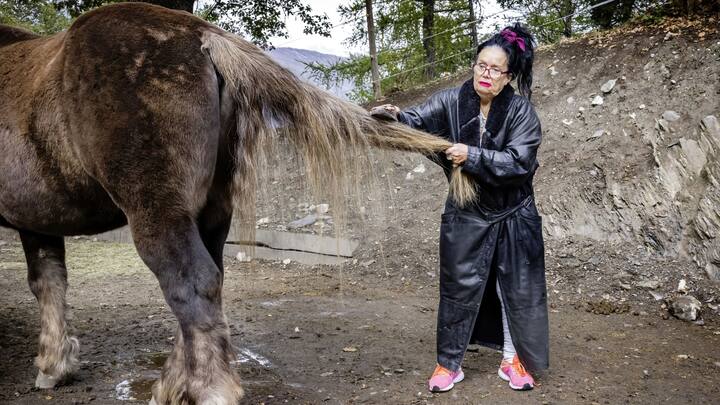 Laetitia avec son cheval Bobby, reportage équithérapie