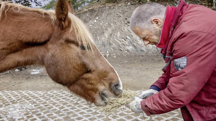 Frédéric avec son cheval Waterloo, reportage équithérapie