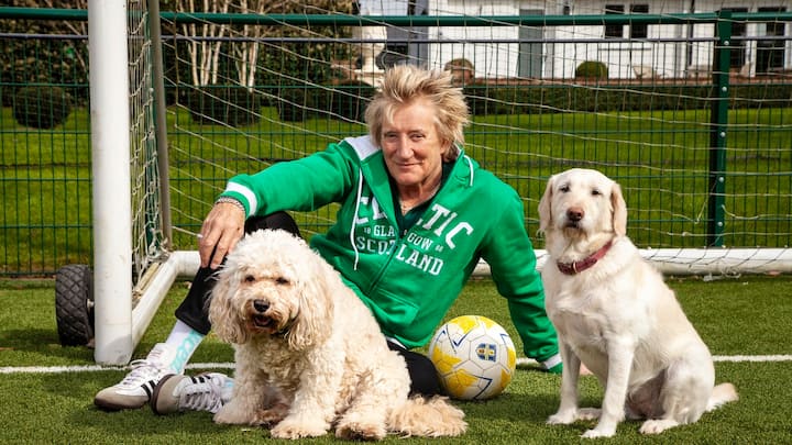 Le musicien écossais Rod Stewart
