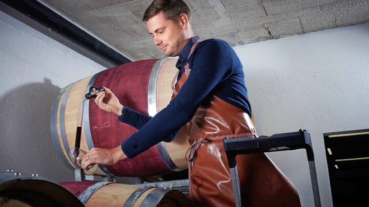 Vignerons