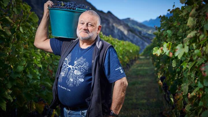 Didier Joris, viticulteur BIO