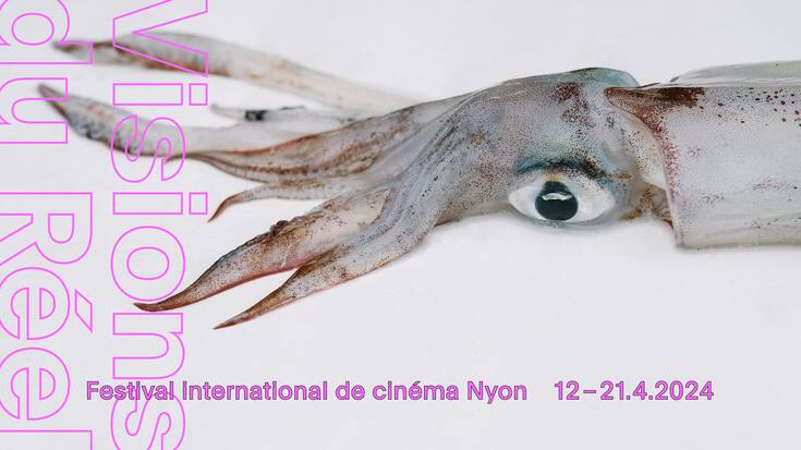L'affiche 2024 du Festival International de cinéma Nyon, Vison du Réel