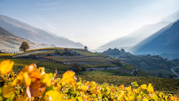 Valais automne flamboyant
