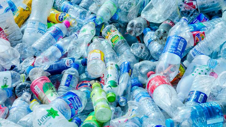 La pollution des microplastiques disséminés dans la nature représente bel et bien un fléau pour le vivant