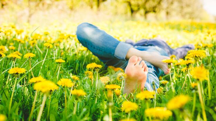Young girl resting in a dandelion field