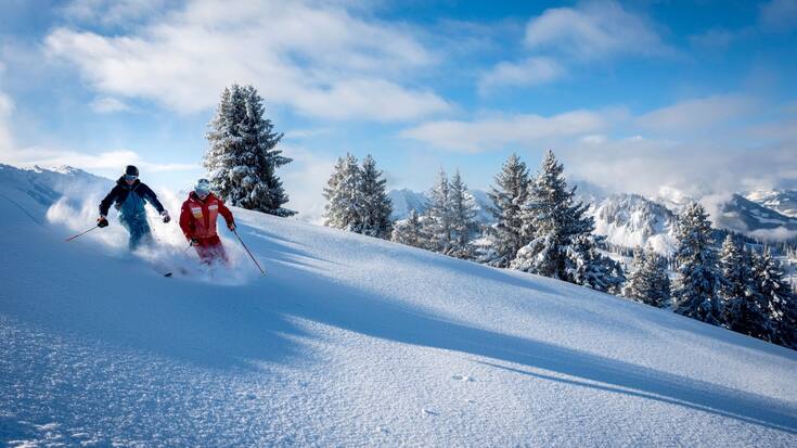 Le champion du monde Mike von Grünigen et son fils Noel sur les pistes. Sans oublier évidemment de déguster des röstis croustillants et une terrasse spectaculaire au Wasserngrat.</p>