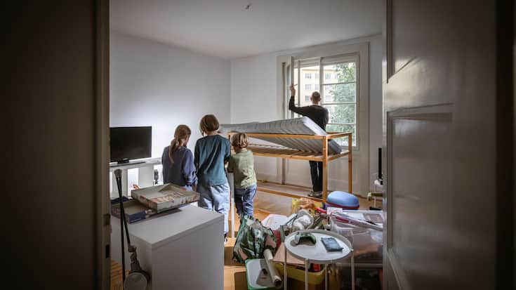 reportage punaises de lit
