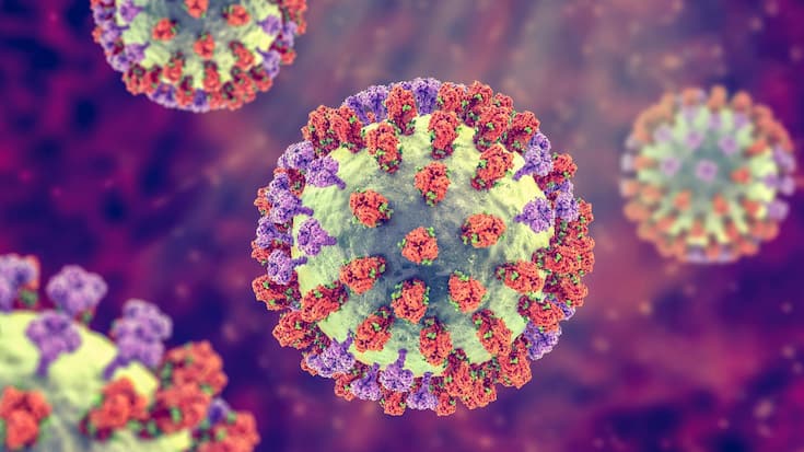Virus de la grippe