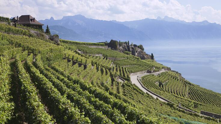 Le Lavaux 
