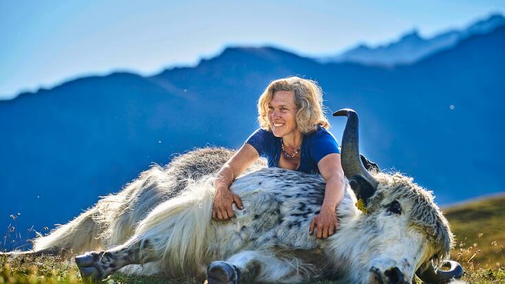 Rosula Blanc, pionnière de l'élevage de yaks en Europe