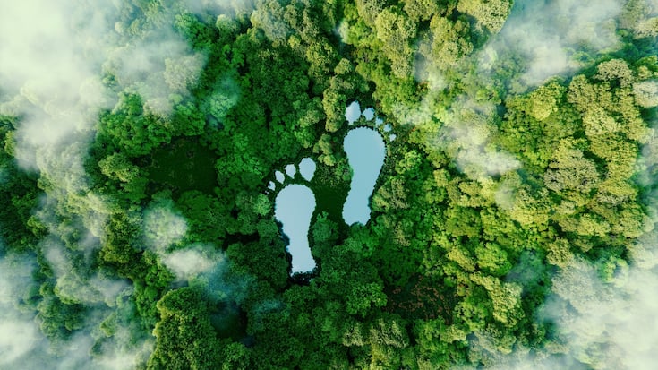Empreintes humaines au milieu d'une forêt luxuriante, comme métaphore de l'impact de l'activité humaine sur le paysage et la nature en général