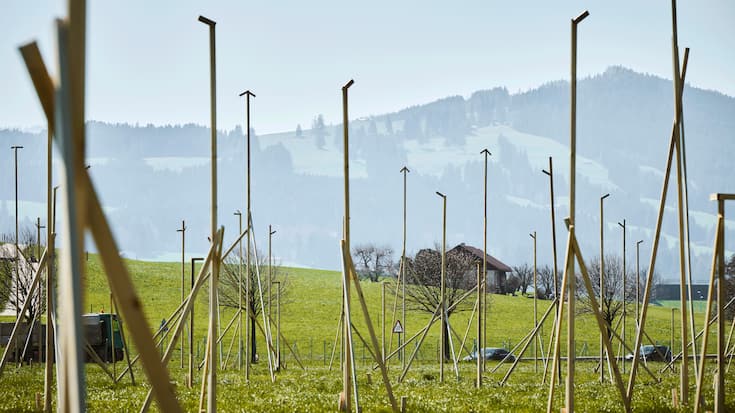 A l’orée de Bulle, un champ de gabarits a poussé près de Riaz. Une cinquantaine de villas sont prévues.