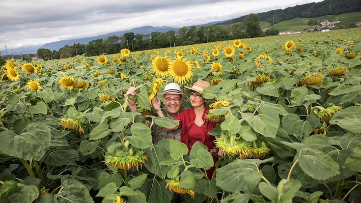 Bundesrat Guy Parmelin und Frau Caroline am Morgen vor der Wanderung im Sonnenblumenfeld vor ihrem Haus. Story: 1.-August-Wanderung, Bursins VD 2019 - Â© Kurt Reichenbach