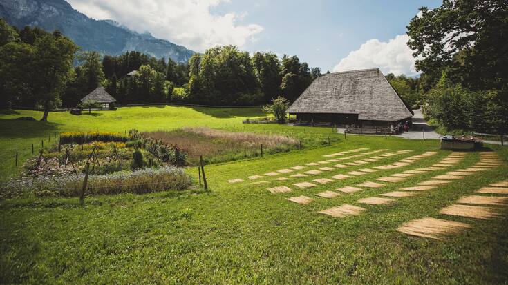 Musée suisse en plein air de Ballenberg