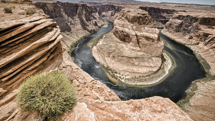 Greenery grows by the cliff face of Horseshoe Bend on the Colorado River.