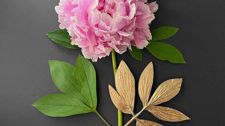 Jane Bosshard Quillerat