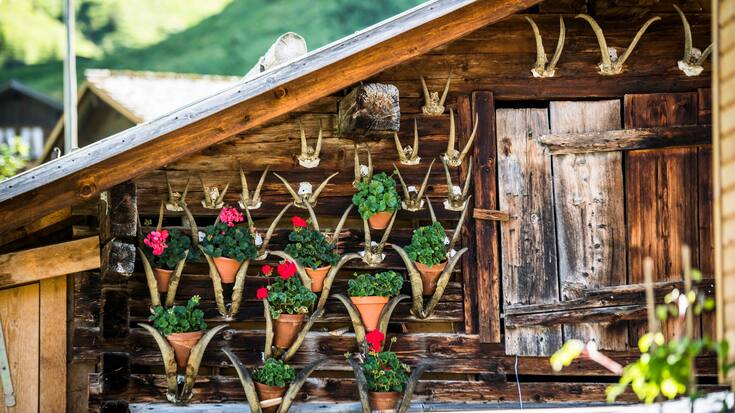 Cabane fleurie 