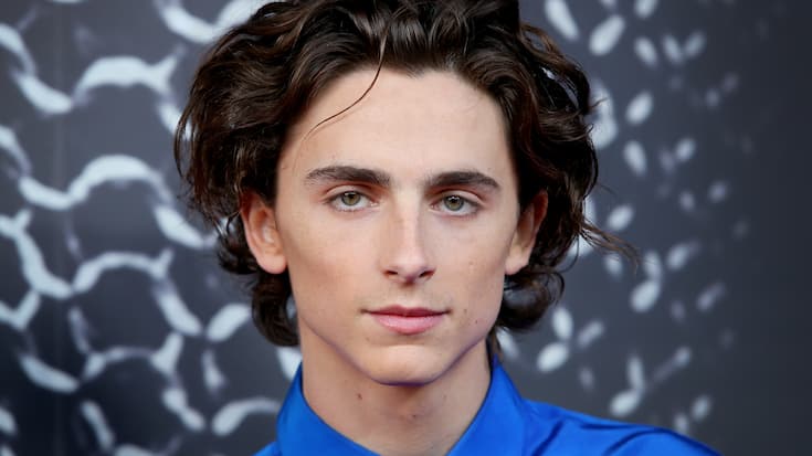 Timothée Chalamet