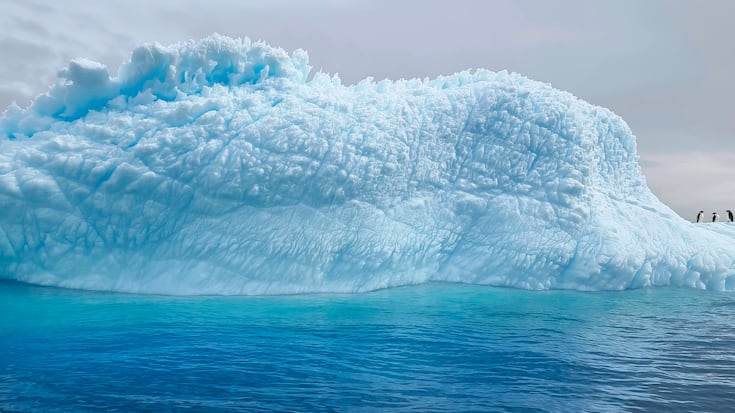 Antarctique