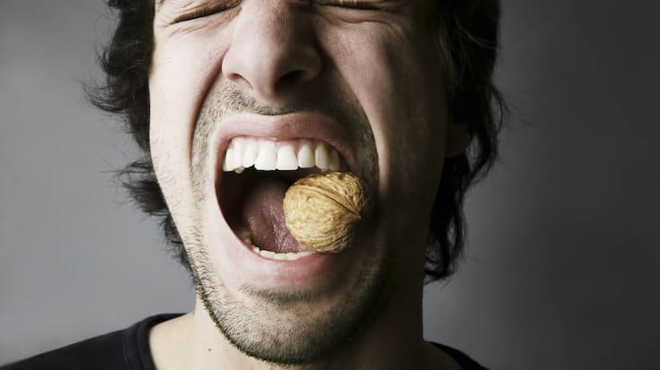 Portrait of young man trying to crack a walnut with his teeth, studio shot model released PUBLICATIONxINxGERxSUIxAUTxHUNxONLY JATF000518Portrait of Young Man trying to Crack a Walnut With His Teeth.