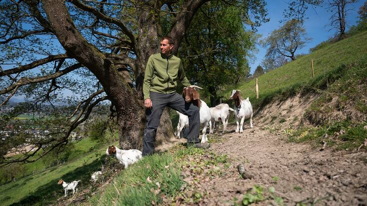 27.04.2021; Muhen; Thomas + Nicole Anliker-Lüthi - Lottenhof; Bauer Thomas Anliker auf dem Weg zur Weide zu den Kühen und Ziegen. © Valeriano Di Domenico