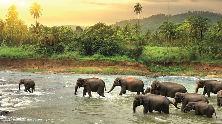 Sri Lanka