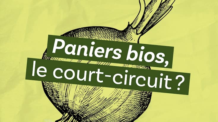 Paniers bio, le court-circuit?, épisode 6 du podcast «Le ver(t) dans l’assiette?»