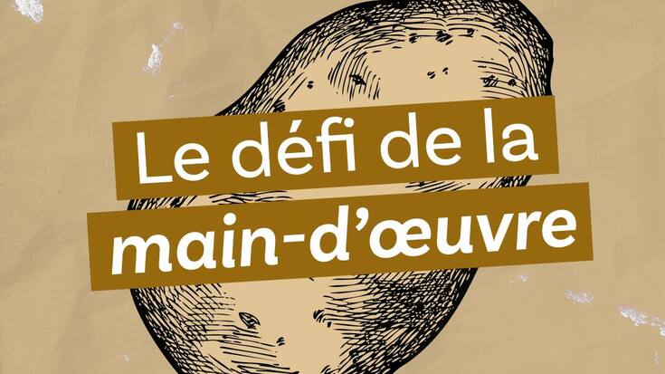 «Le défi de la main-d'œuvre», huitième épisode du podcast «Le ver(t) dans l’assiette?»