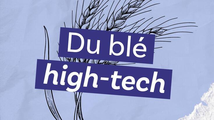 «Du blé high-tech», neuvième épisode du podcast «Le ver(t) dans l’assiette?».