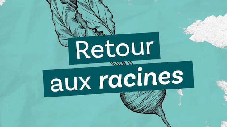 «Retour aux racines», dixième épisode du podcast «Le ver(t) dans l’assiette?». DR