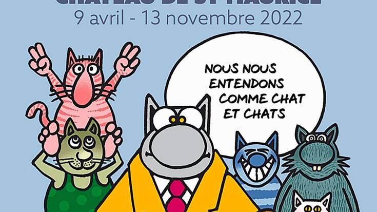 Drôles de chats