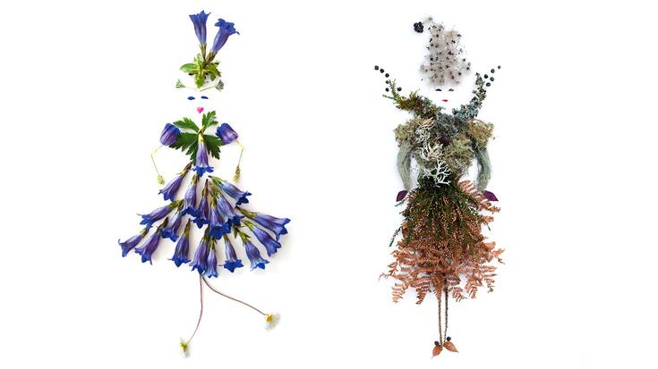 Natures mortes: composition de femmes à partir de fleurs, d'herbes et de feuilles