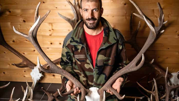 Chasse aux bois de cerf
