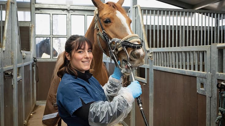 Alexia Leuba-Passello, une dentiste pour chevaux