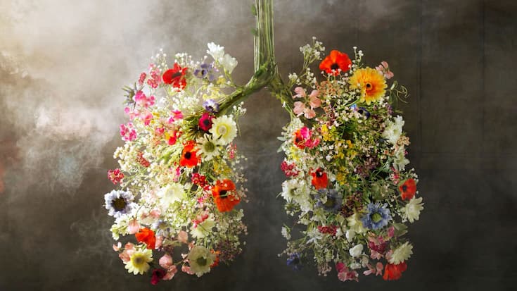 Image de fleurs assemblées en forme de poumon