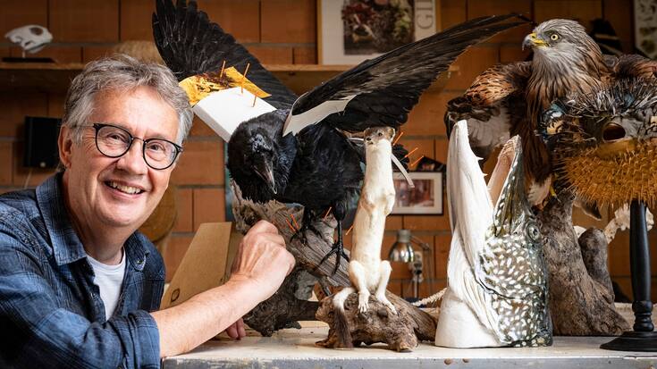 le taxidermiste Raphaël Codourey