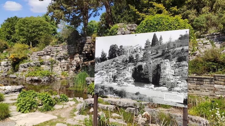 L’exposition «Vert: ville et végétal en transition», au Musée et Jardins botaniques de Lausanne