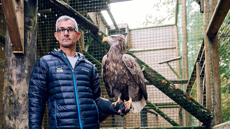 Jacques-Olivier Travers, fondateur du parc français des Aigles du Léman avec le pyguarge Fletcher